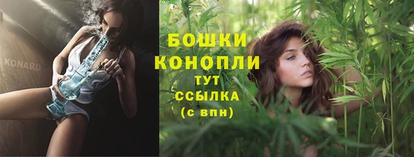 прущие грибы Беломорск