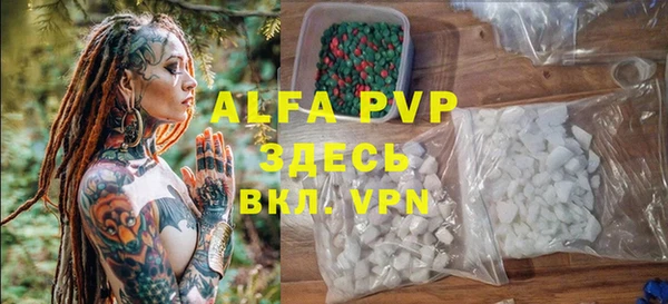 крисы Белокуриха