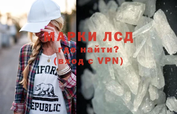 прущие грибы Беломорск