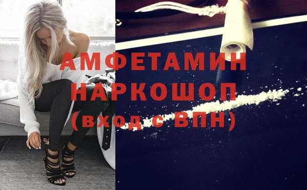 прущие грибы Беломорск