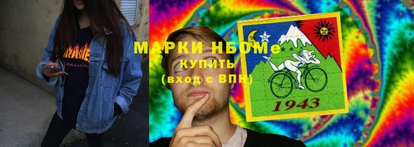 прущие грибы Беломорск