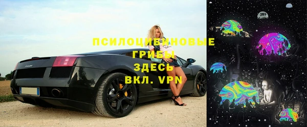 прущие грибы Беломорск