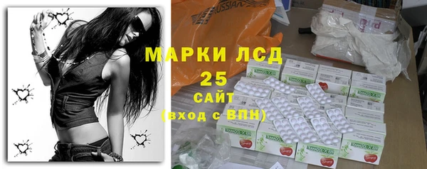прущие грибы Беломорск
