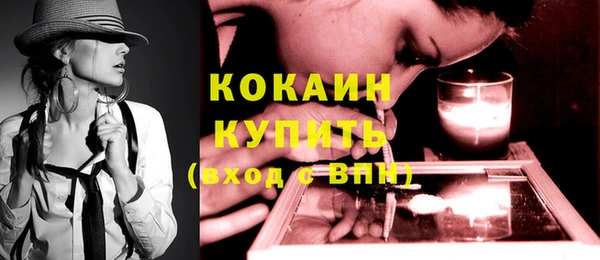 крисы Белокуриха