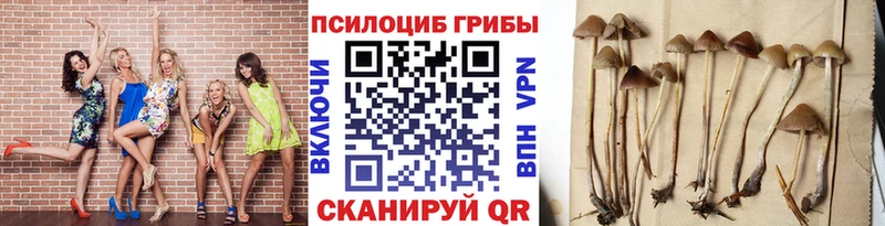 дарнет шоп  Кузнецк  площадка как зайти  Псилоцибиновые грибы Magic Shrooms 