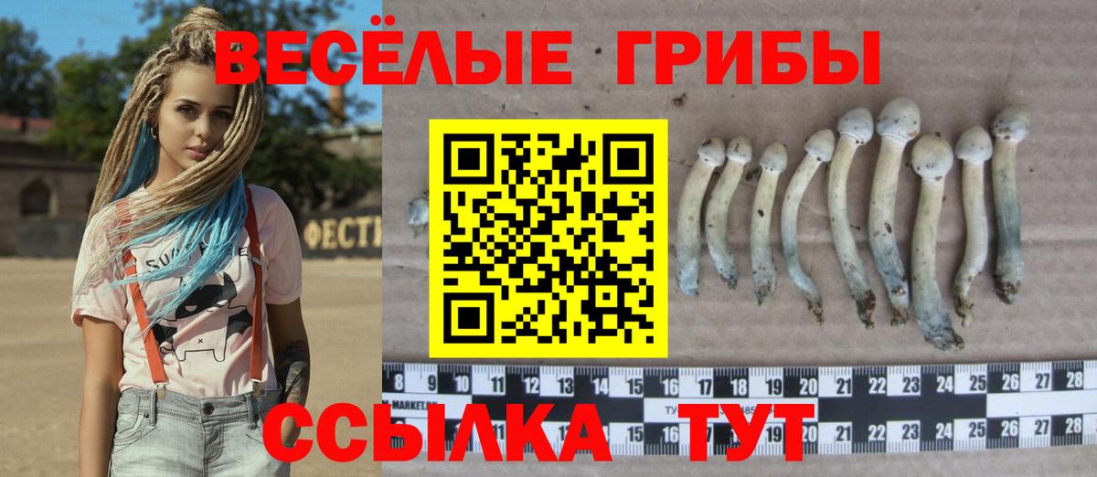 Галлюциногенные грибы GOLDEN TEACHER  Вход с VPN  наркотики  Кузнецк 