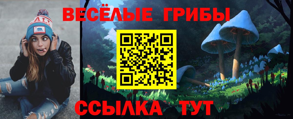 Галлюциногенные грибы мицелий Кузнецк